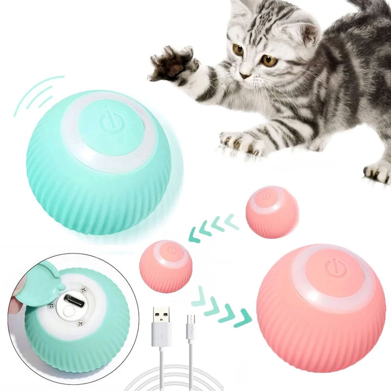 Bola Interativa Inteligente para Pet