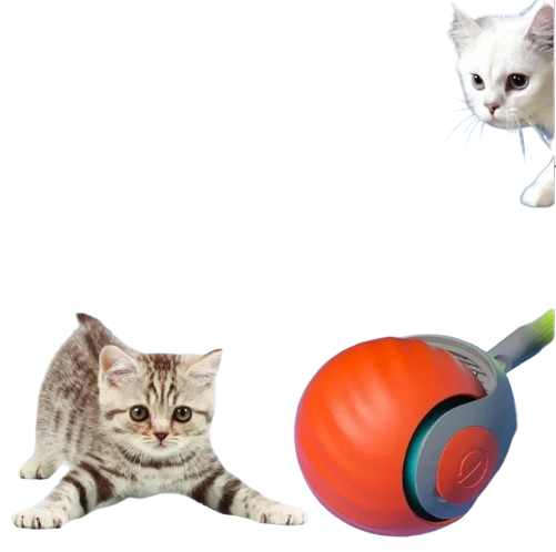 Brinquedo Inteligente para Pets