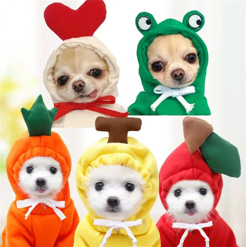 Roupas Fofas para Cães Pequenos